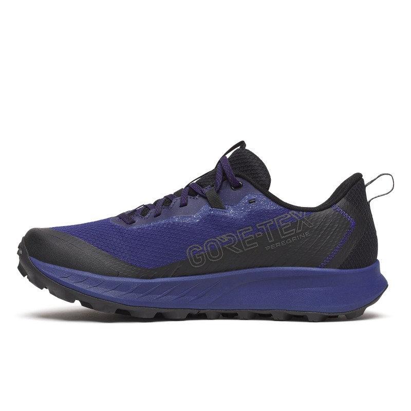 SAUCONY M RIDE TR2 GTX