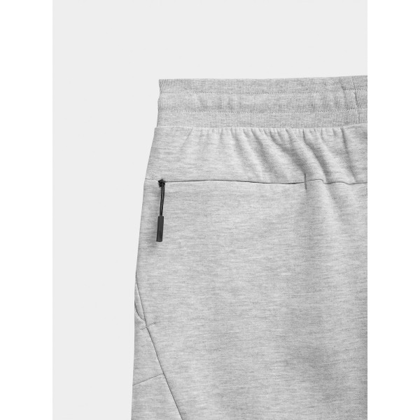 Men's Shorts 4F H4L21-SKMD013 27M