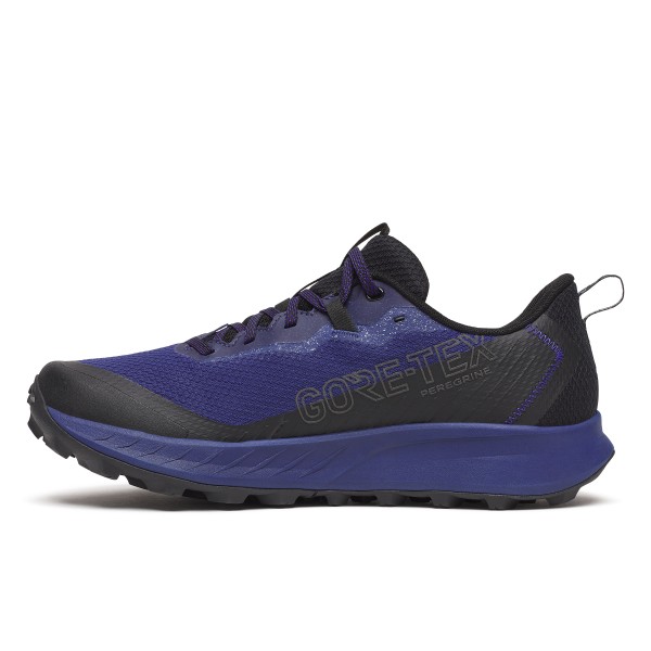 SAUCONY M RIDE TR2 GTX