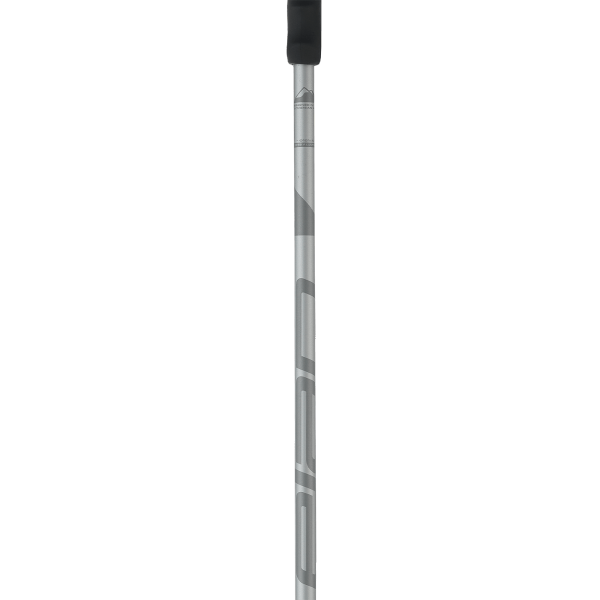 Elan Speedrod Grey Ski Poles