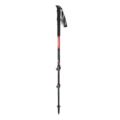 Pohodne palice MASTERS TREKKING POLE EIGER CALU