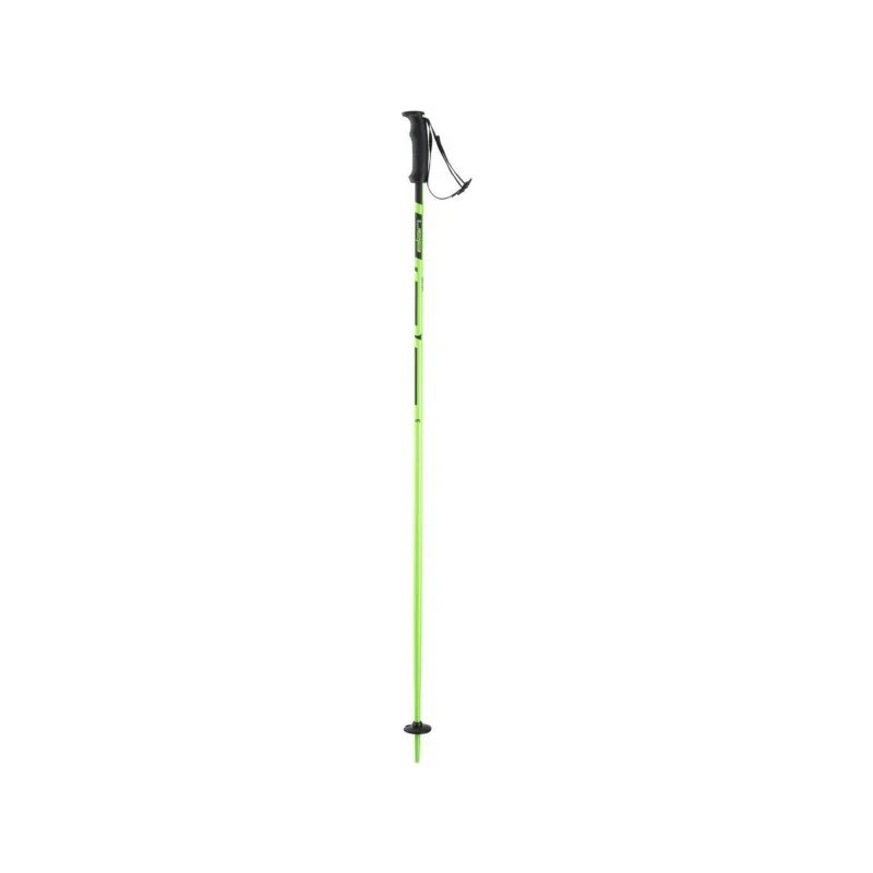ski poles Elan