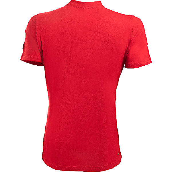Moška majica s kratkimi rokavi je športna majica tango rdeče barve iz znamenite klasične FILA kolekcije. Najboljše udobje nošenja in optimalno svobodo gibanja zagotavlja visokokakovosten material.