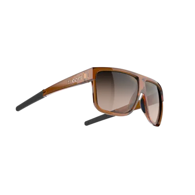 Sončna očala TRIPOINT RAJKA SHINY TRANSPARENT BROWN