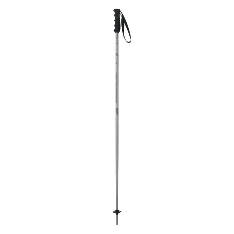 Elan Speedrod Grey Ski Poles