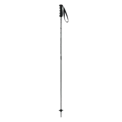Elan Speedrod Grey Ski Poles
