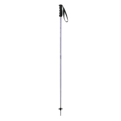 Ski Poles ELAN SPEEDROD PURPLE W